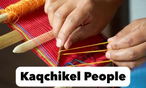 カクチケル族