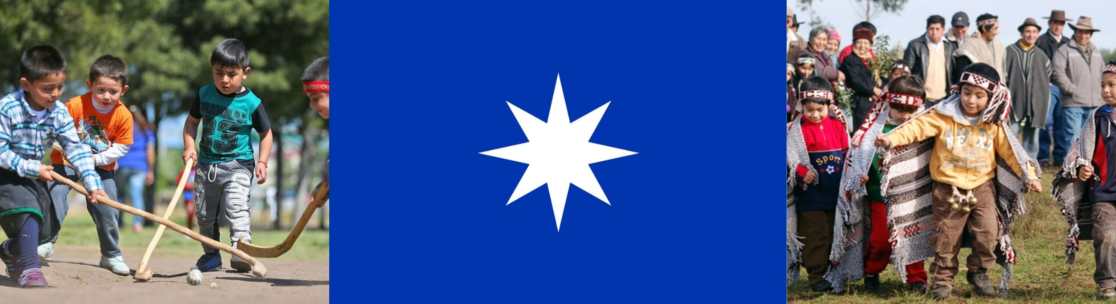 Mapuche Cultural Banner
